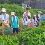 【しまねでおちらと夏体験】大好評でした! サブ画像
